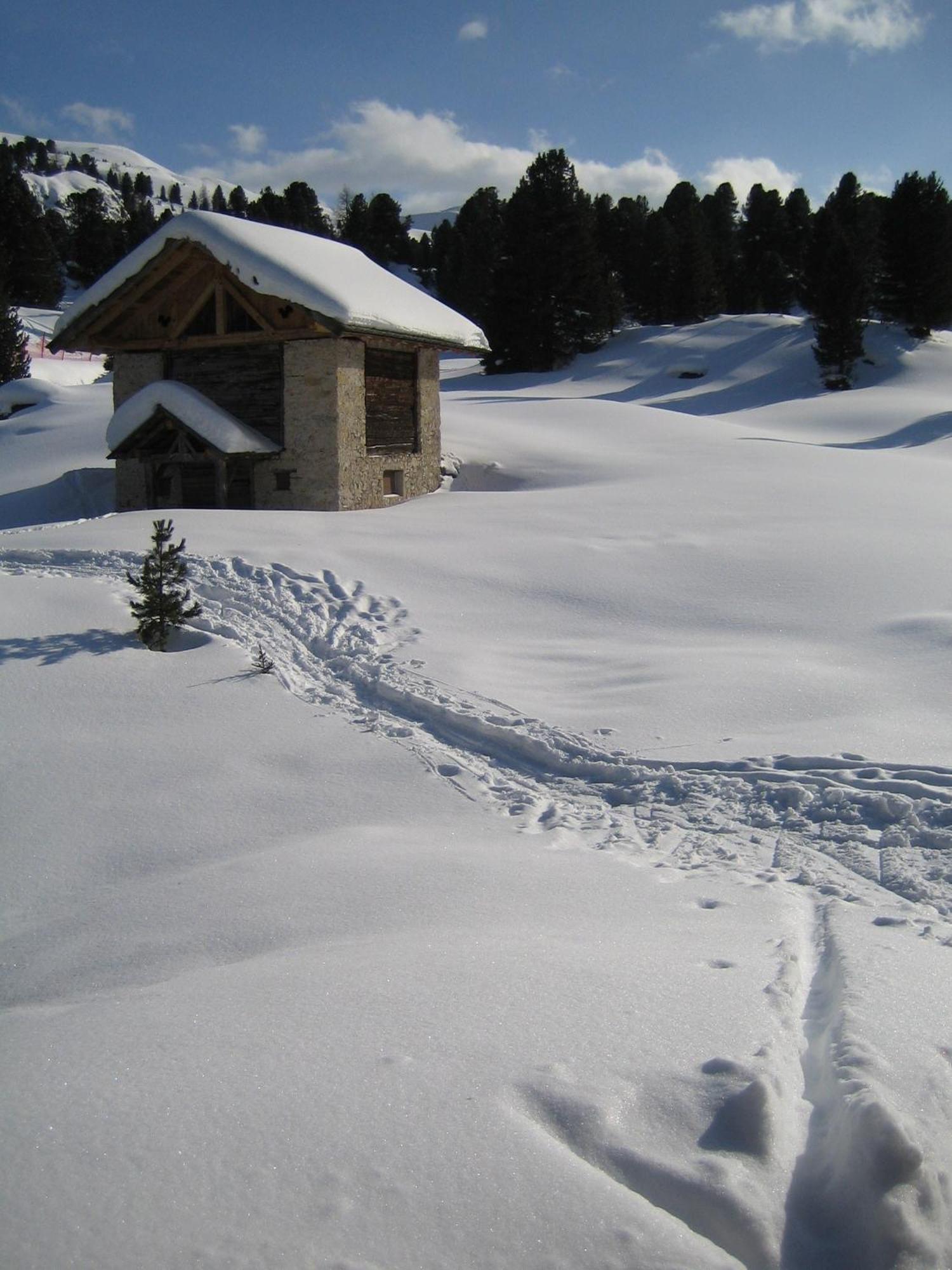 Hotel Chalet Elisabeth Dolomites Alpin & Charme Selva di Val Gardena Esterno foto