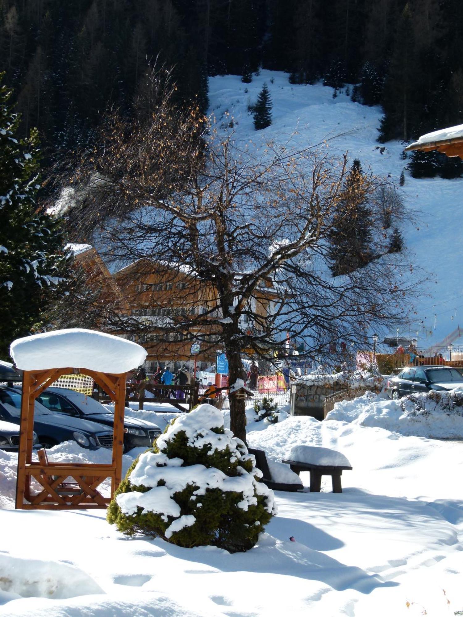 Hotel Chalet Elisabeth Dolomites Alpin & Charme Selva di Val Gardena Esterno foto